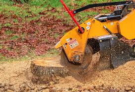 Professional Tree Removal in Middlesex, NJ