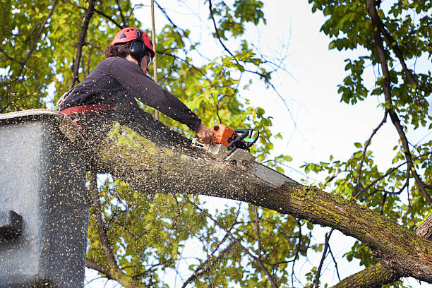 Best Weed Control  in Middlesex, NJ